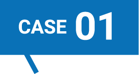 CASE 01